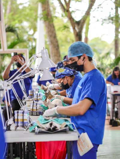 foto de portada de la publicación Presidente y primera dama llevan ‘Misión Patitas’ y feria interinstitucional a La Pintada